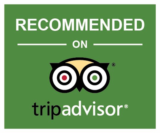 Trip Advisor