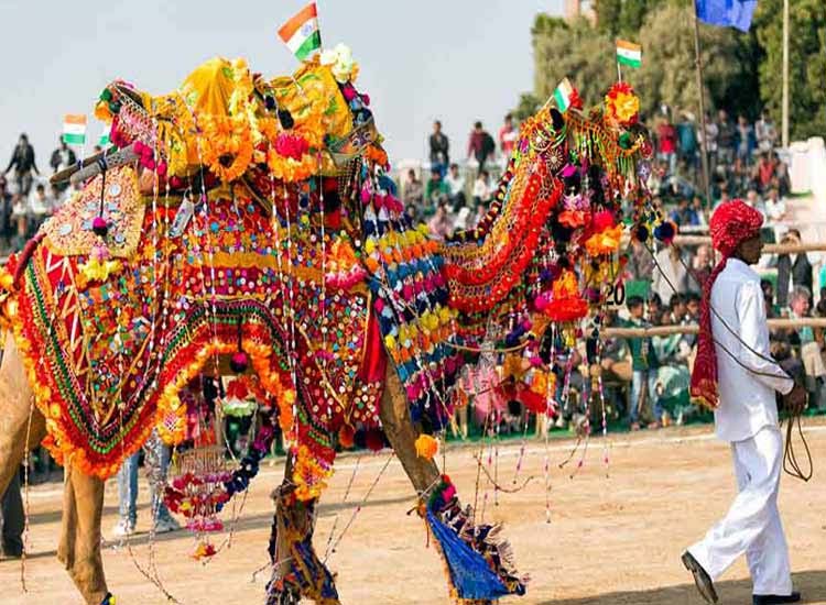 Bikaner Camel Festival