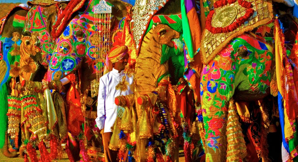 Elephant Festival In Jaipur Rajasthan