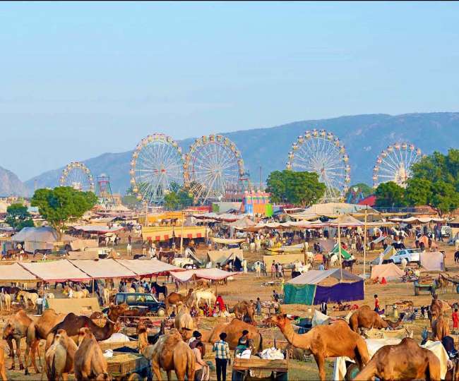 Taxi For Pushkar Camel Fair